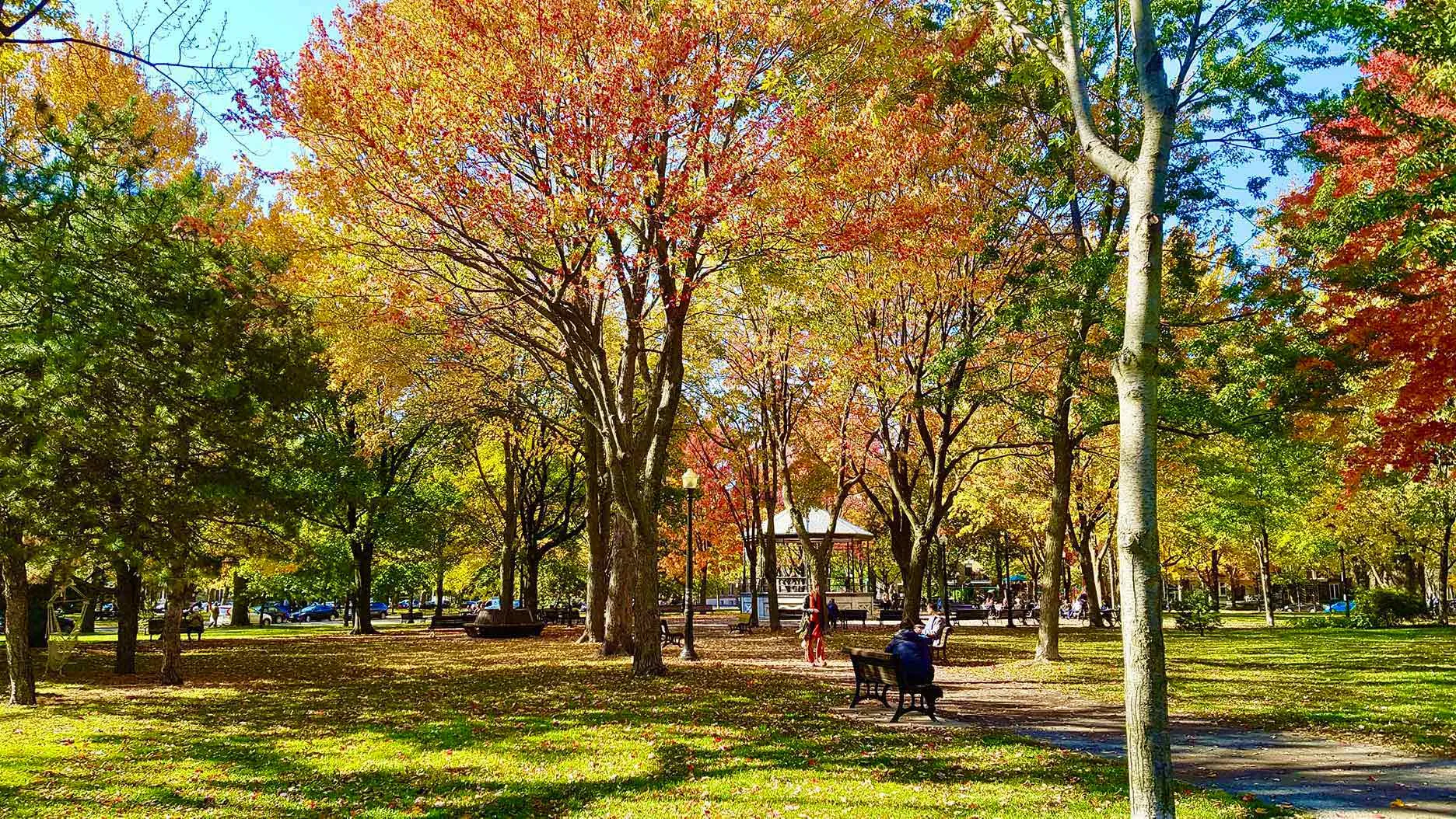 Découvrir l&rsquo;été Indien au Canada