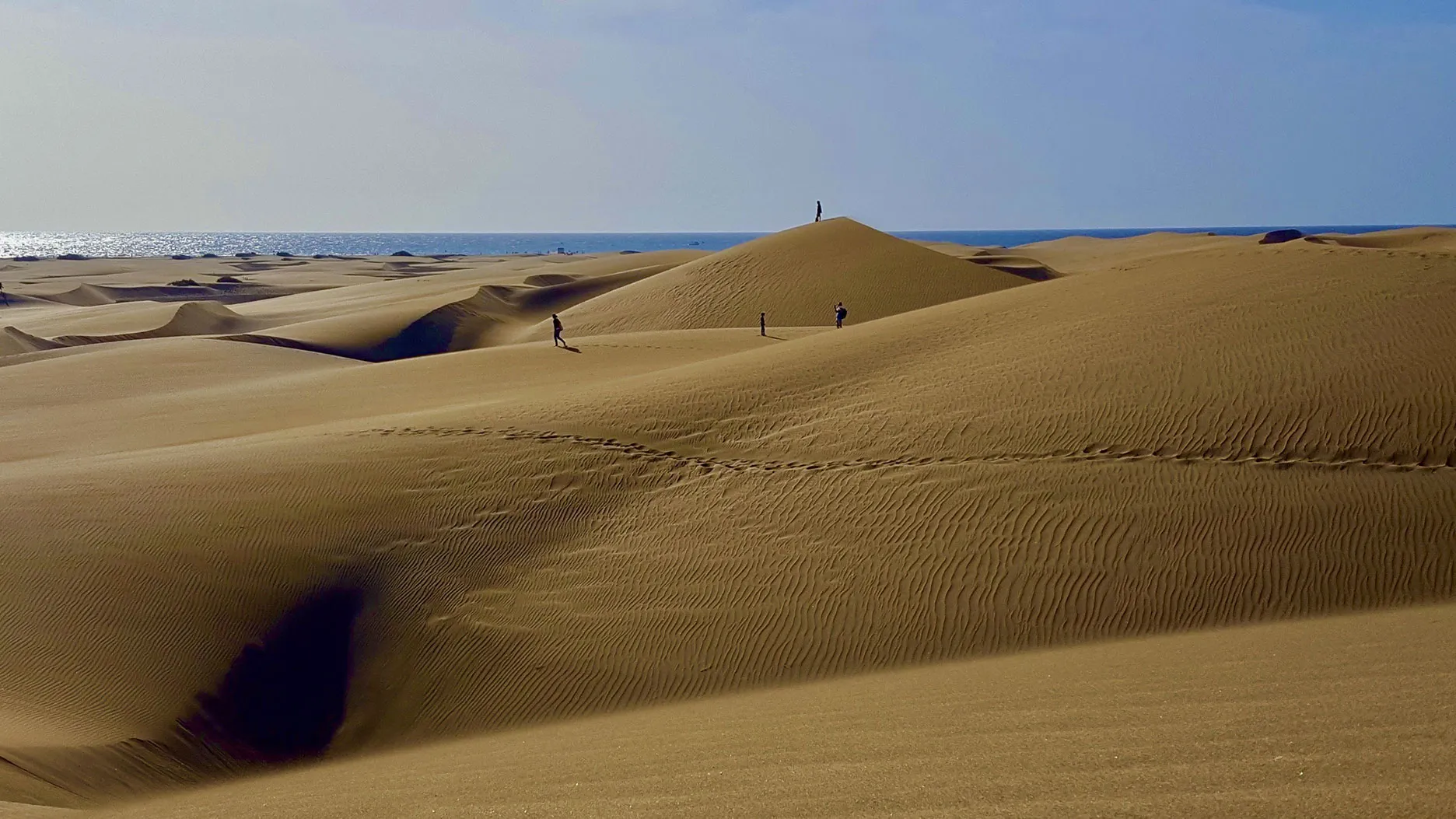 Les Dunes de Maspalomas à Gran Canaria