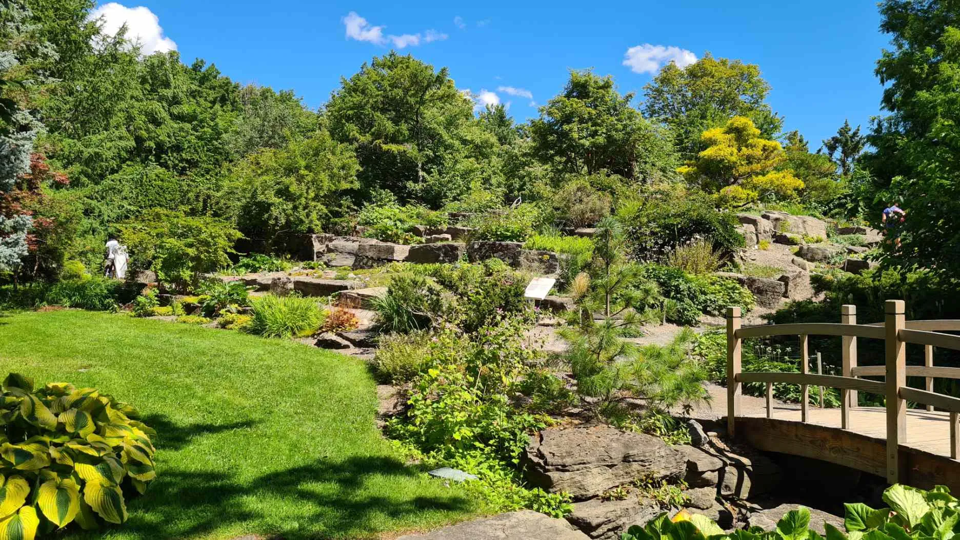 25 choses à faire à Montréal en été