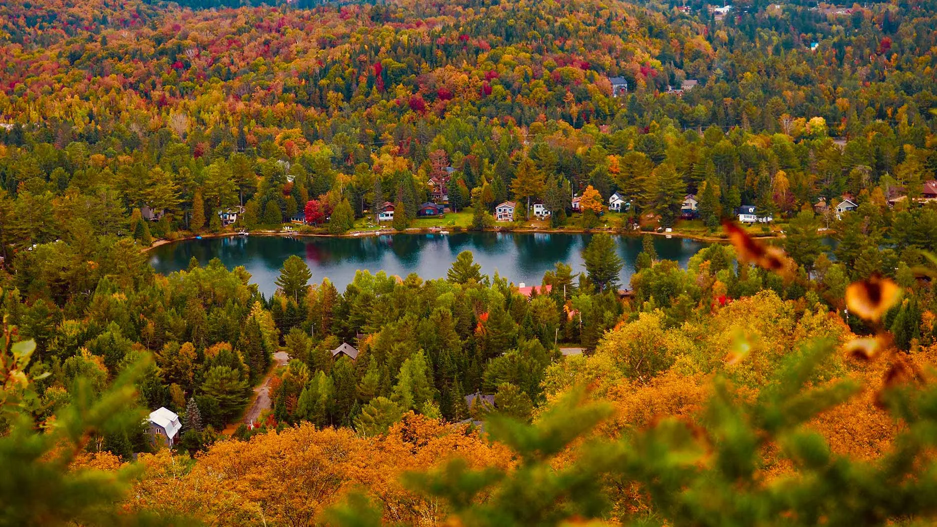 Fall Foliage in Quebec: How to Make the Most of It?