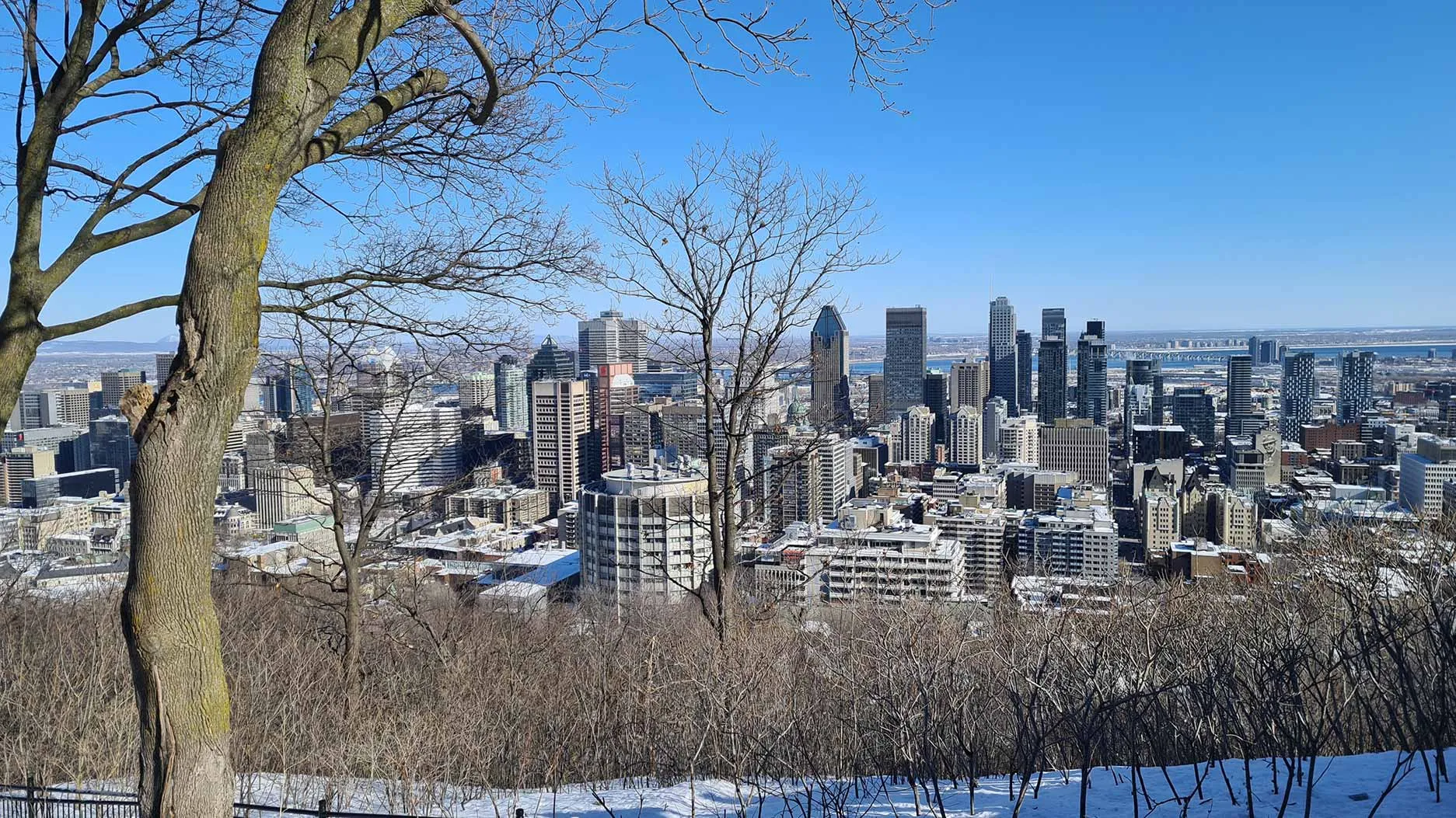 Mount Royal Lookout Through The Seasons