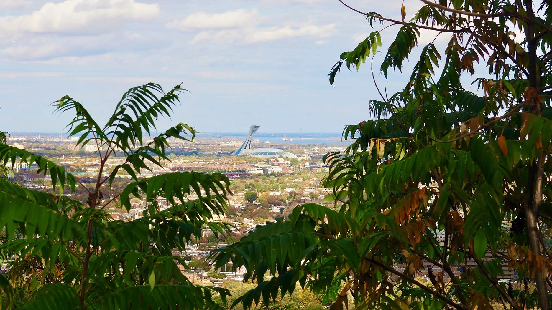 9 quartiers de Montréal à découvrir en priorité