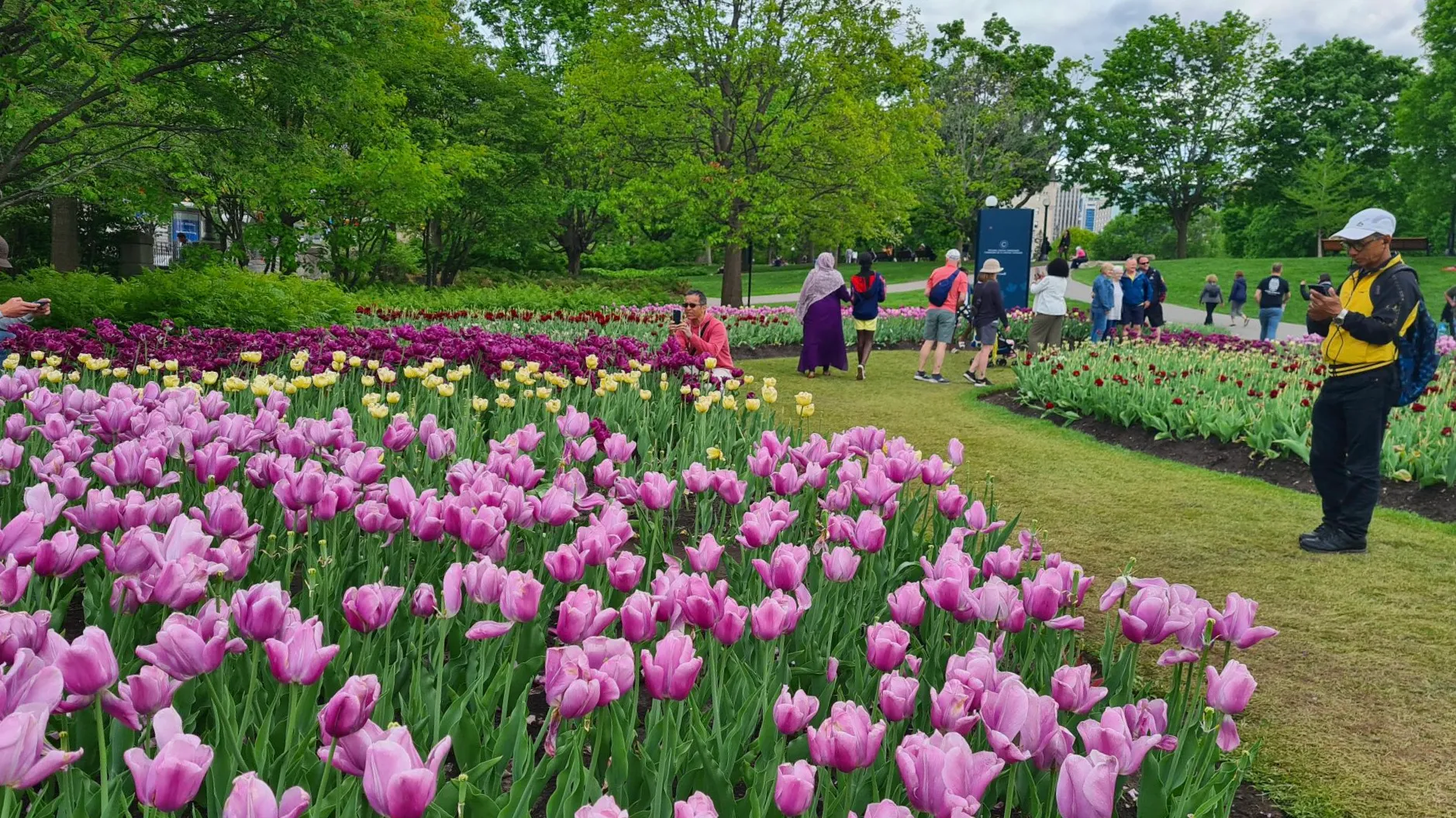 Carnet #2 &#8211; Comment faire découvrir le Québec à un proche de passage ?